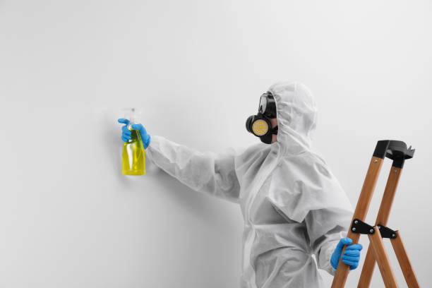 Reliable Fuquay Varina, NC Mold Removal Services Solutions